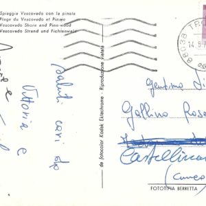 Tropea - SPIAGGIA VESCOVADO CON LA PINETA - 14/08/73