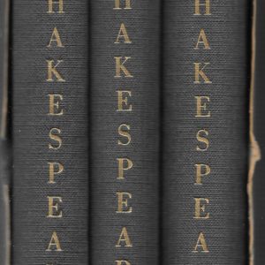 IL TEATRO DI SHAKESPEARE - Editrice Italiana di Cultura