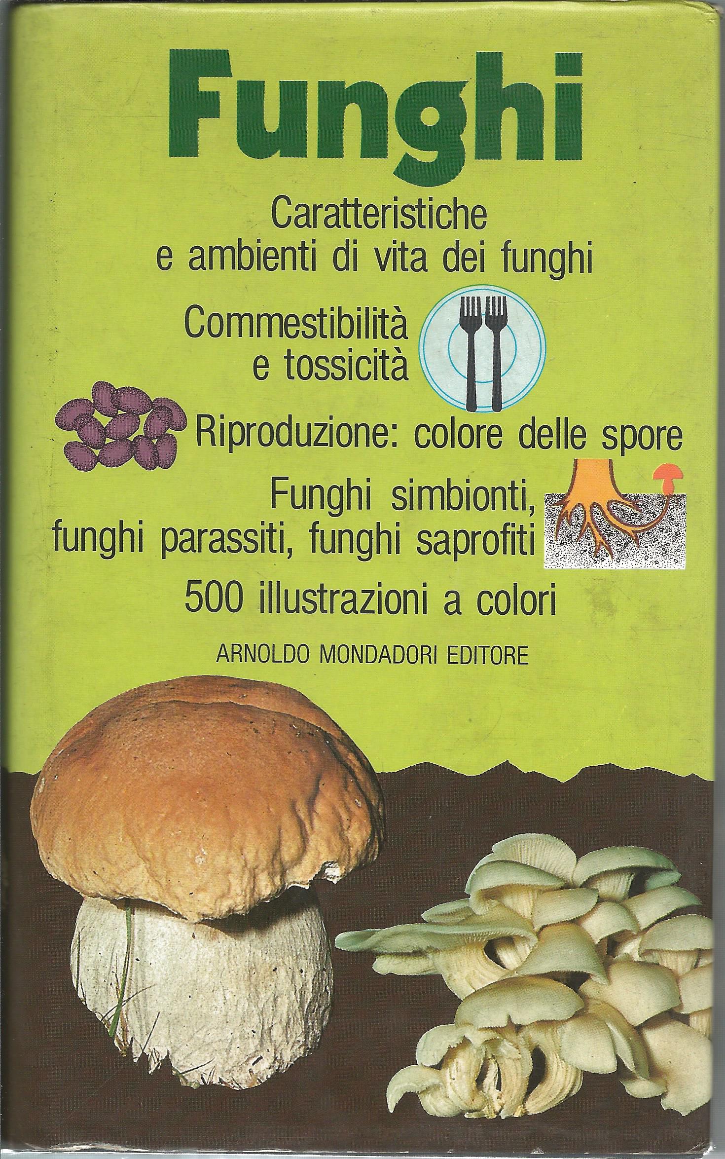 Scan608