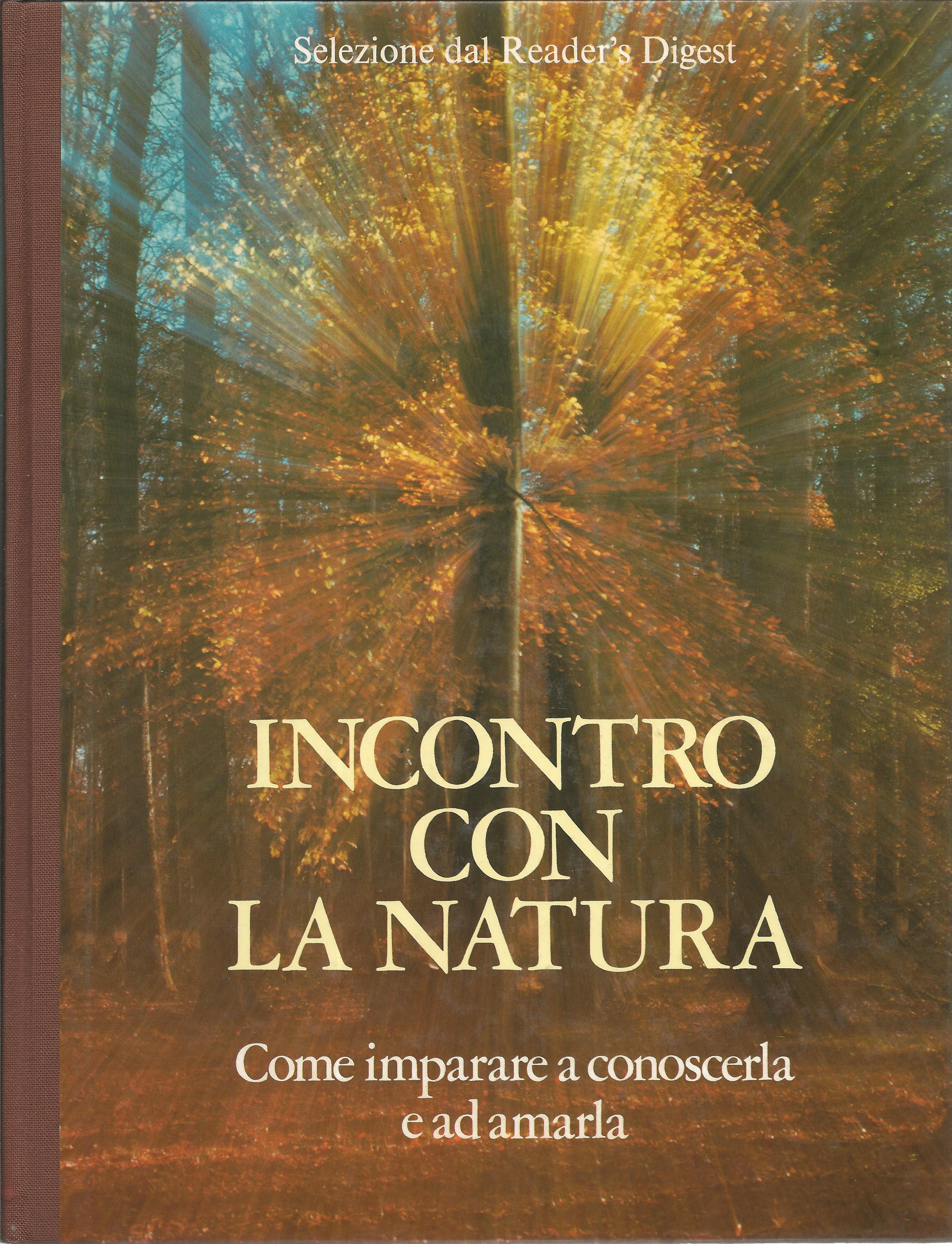 Scan681