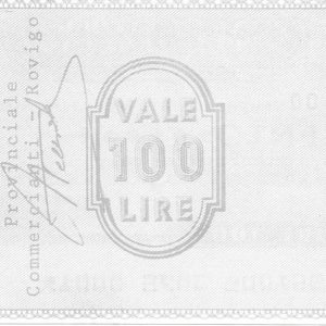 ASSOCIAZIONE PROVINCIALE COMMERCIANTI - 100 Lire - ROVIGO - 29/10/76