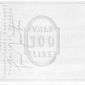 ASSOCIAZIONE COMMERCIANTI ED ESERCENTI - 100 Lire - TREVISO - 20/11/76