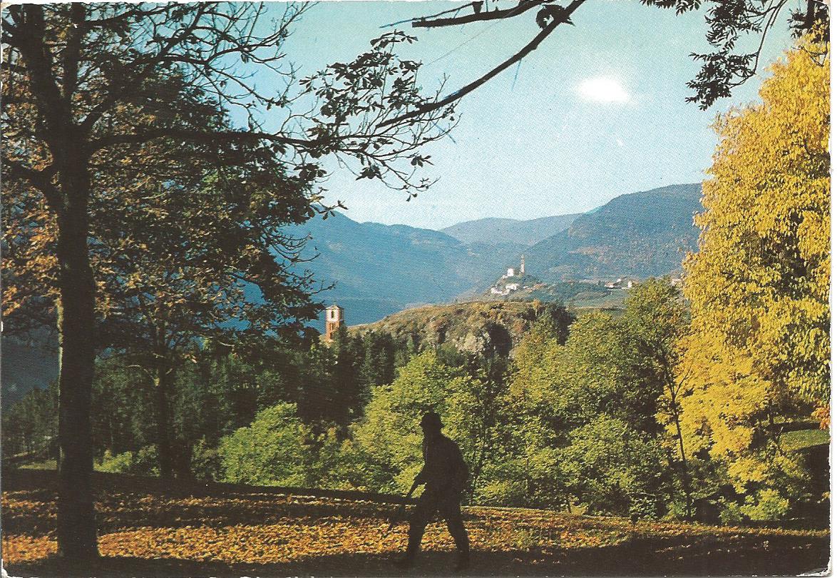 Scan0732