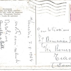 VENEZIA - Piazza S. Marco, Piccionata - 07/08/64