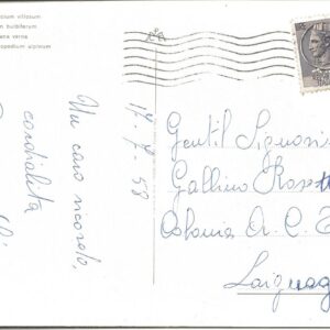 FIORI - 17/07/58