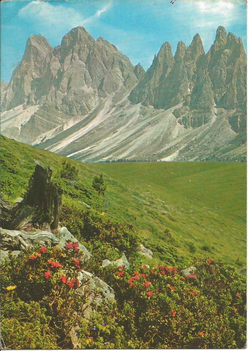 Scan1675