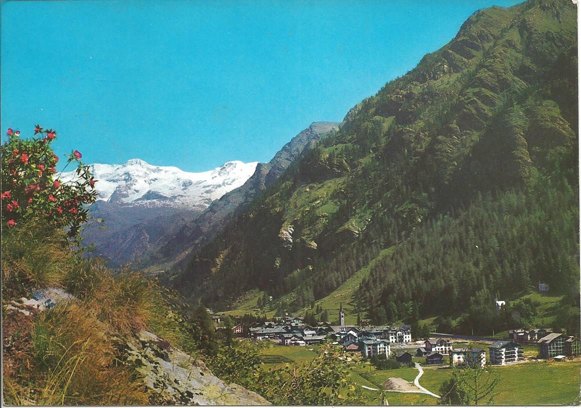 Scan1696