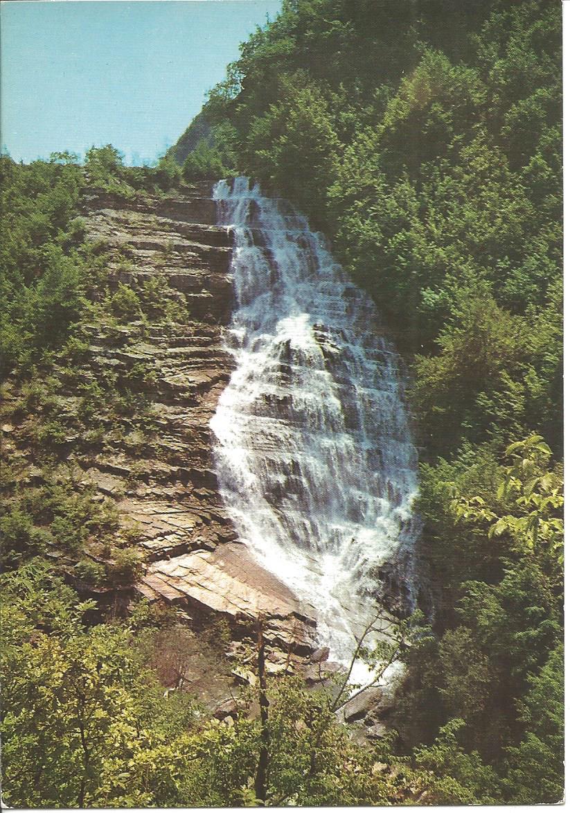 Scan1701