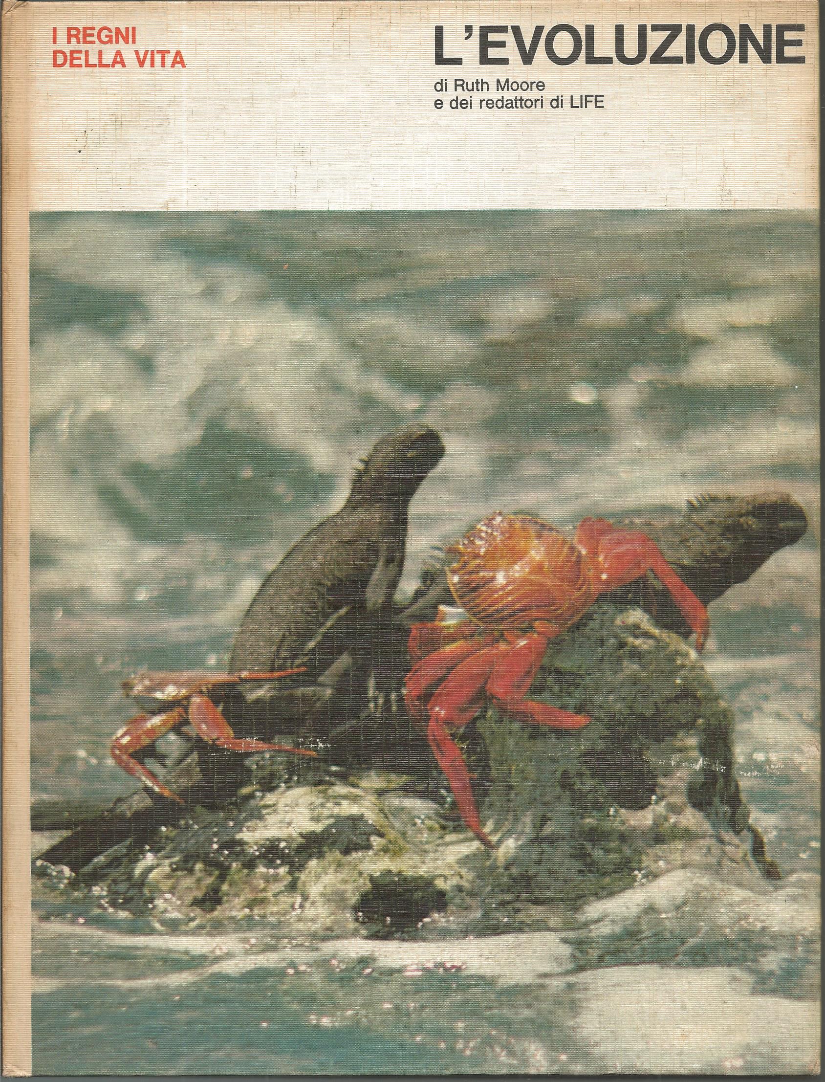 Scan2066