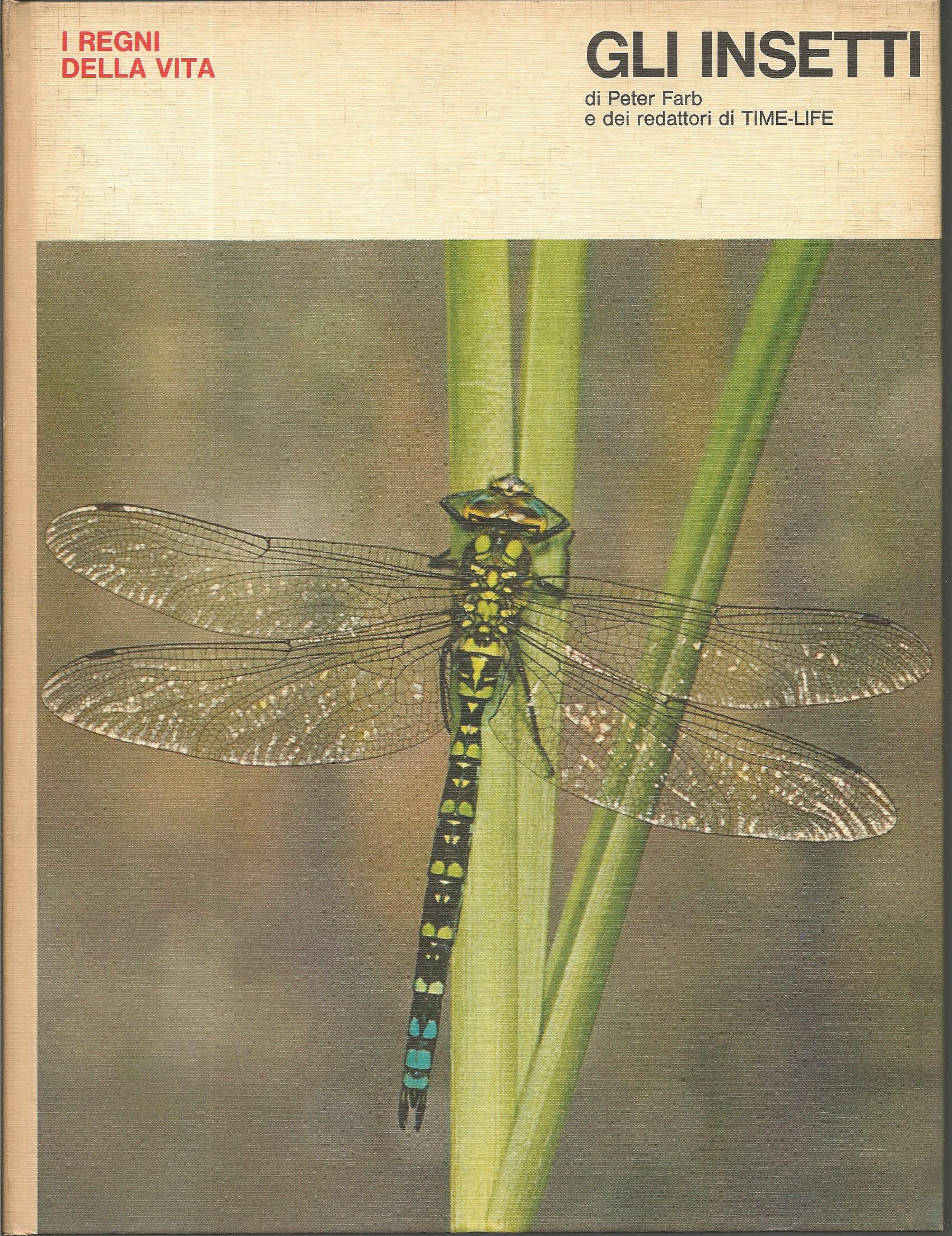Scan2067