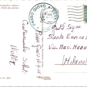STELLA ALPINA - 12/09/66