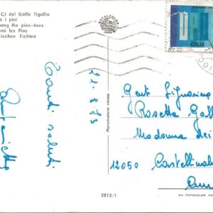GOLFO DEL TIGULLIO - Passeggiata tra i Pini - 21/08/73