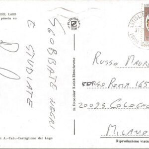 CASTIGLIONE DEL LAGO - Scorcio della Pineta su Lido Arezzo - 30/08/81