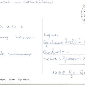 SESTO S. GIOVANNI - Giardini Pubblici - 09/07/75