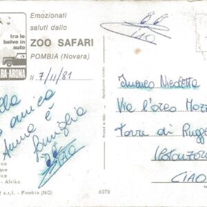 POMBIA - Zoo Safari - 07/11/81