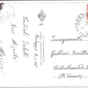PASSO ROLLE - Campi di sci col Cimone della Pala - 07/01/55