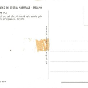 RAME NATIVO - Museo Civico di Storia Naturale
