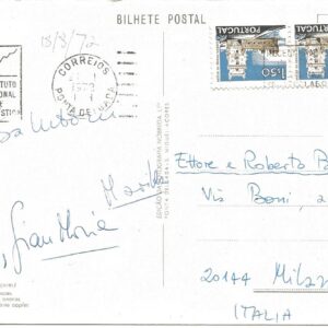 S. MIGUEL - Estufa de Ananazes - 18/08/72